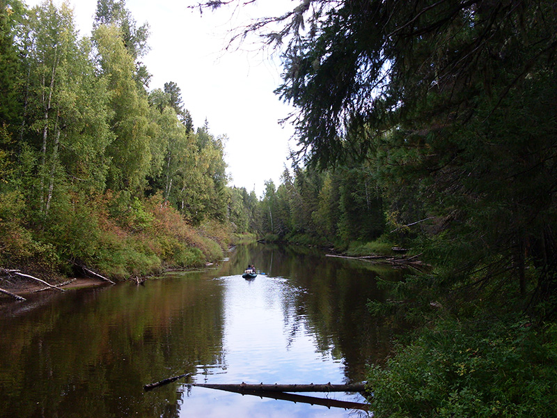 photo "***" tags: landscape, nature, forest