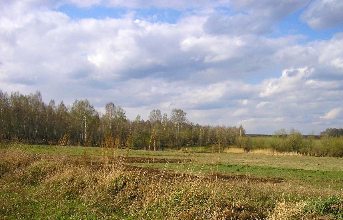 photo "***" tags: landscape, spring