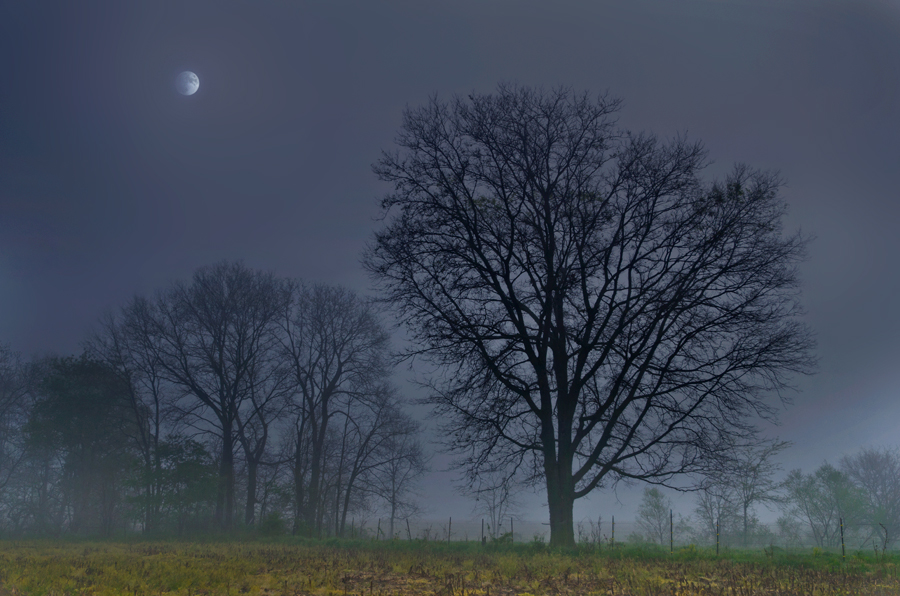 photo "Spring Morning" tags: landscape, spring