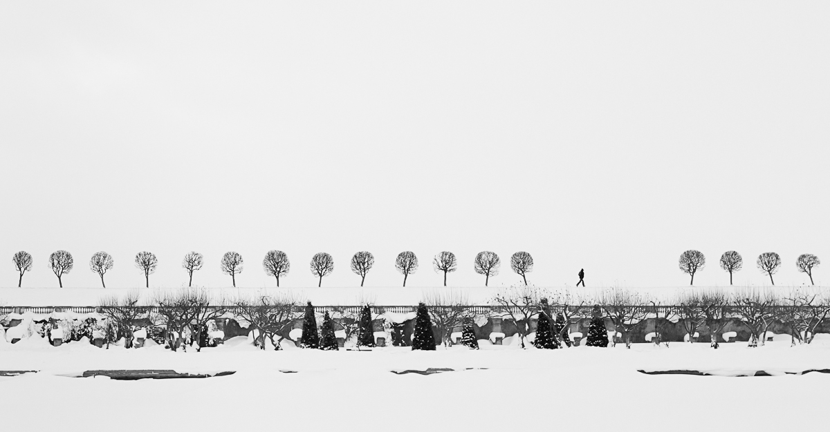 photo "walk mono" tags: landscape, black&white, winter