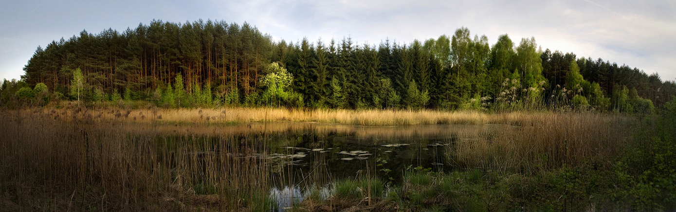 photo "Spring evening panorama" tags: landscape, panoramic, spring