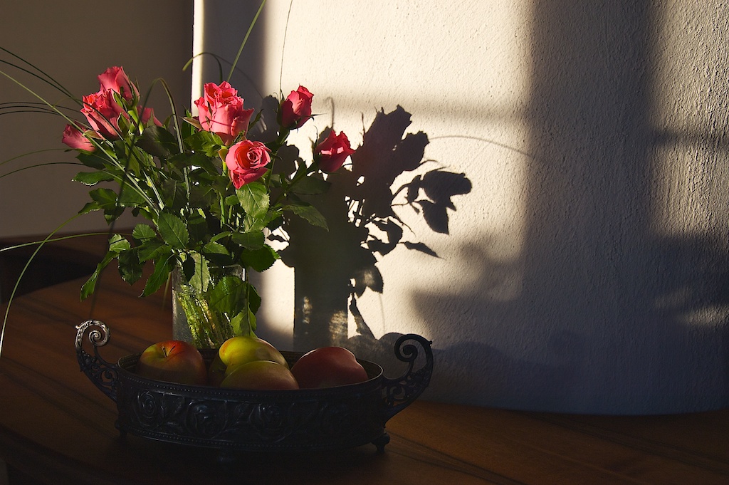 photo "***" tags: still life, nature, flowers