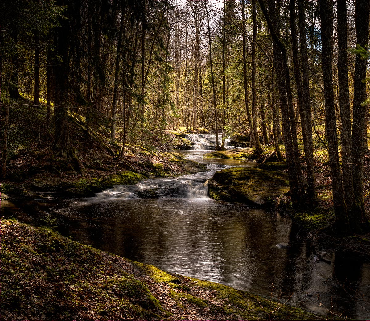 фото "***" метки: , 