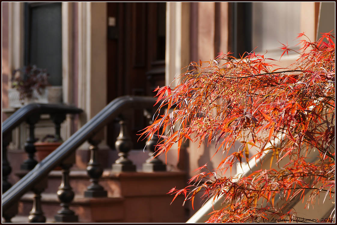 photo "Streets of Brooklyn - Park Slope" tags: landscape, city, 