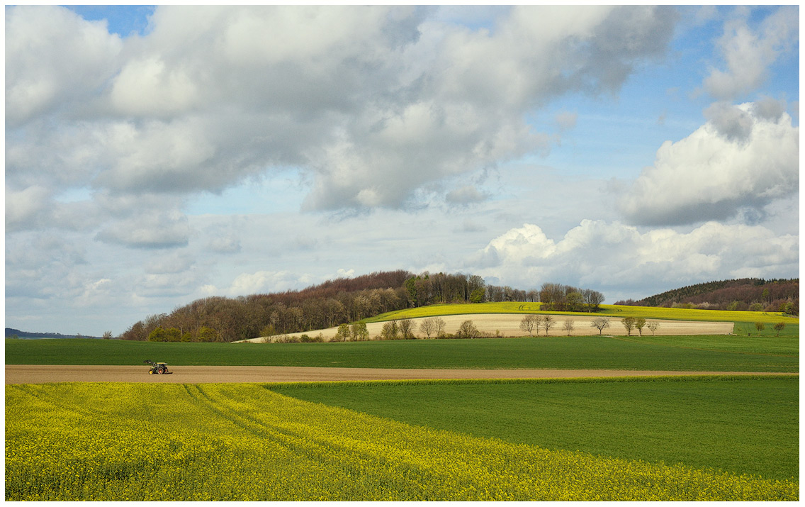 photo "***" tags: landscape, spring