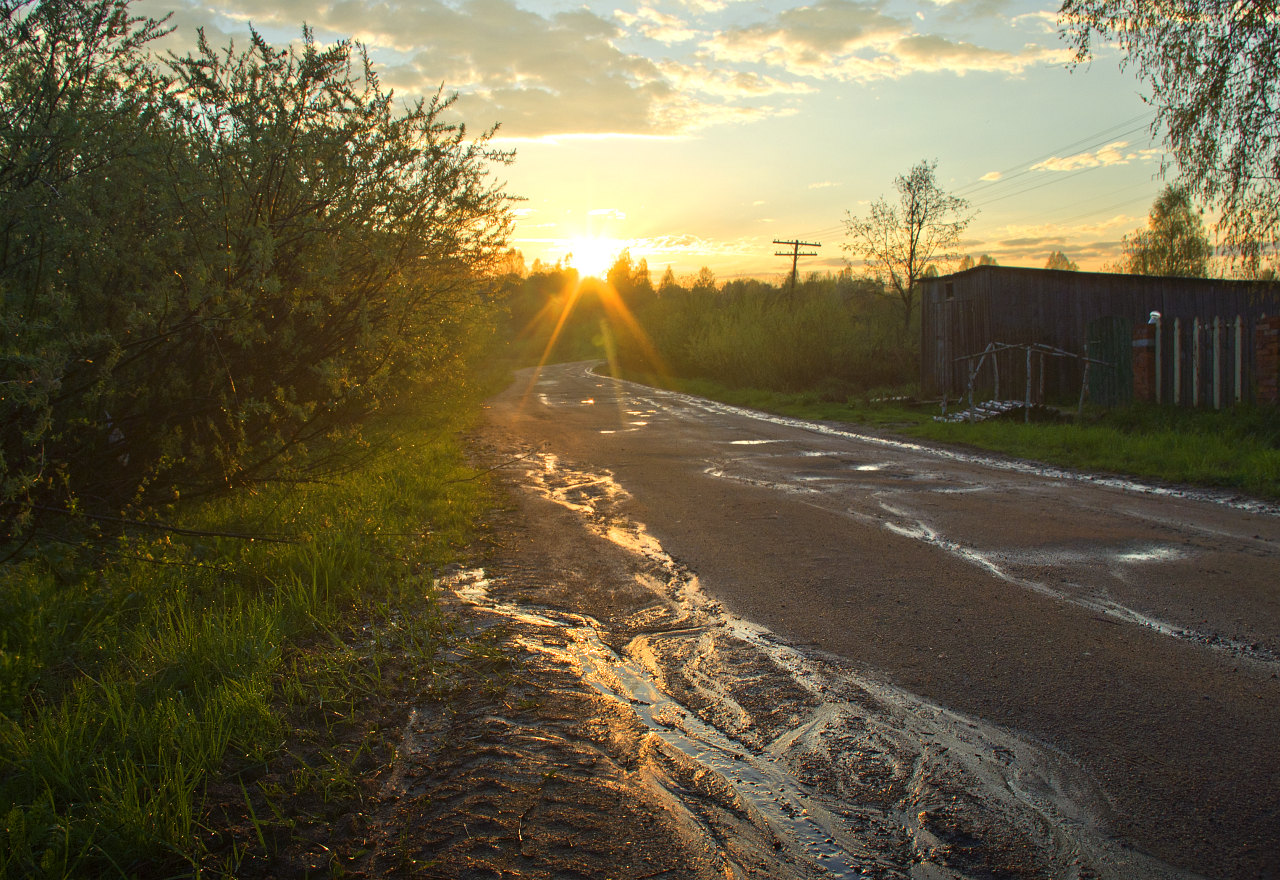 photo "After the rain" tags: landscape, spring