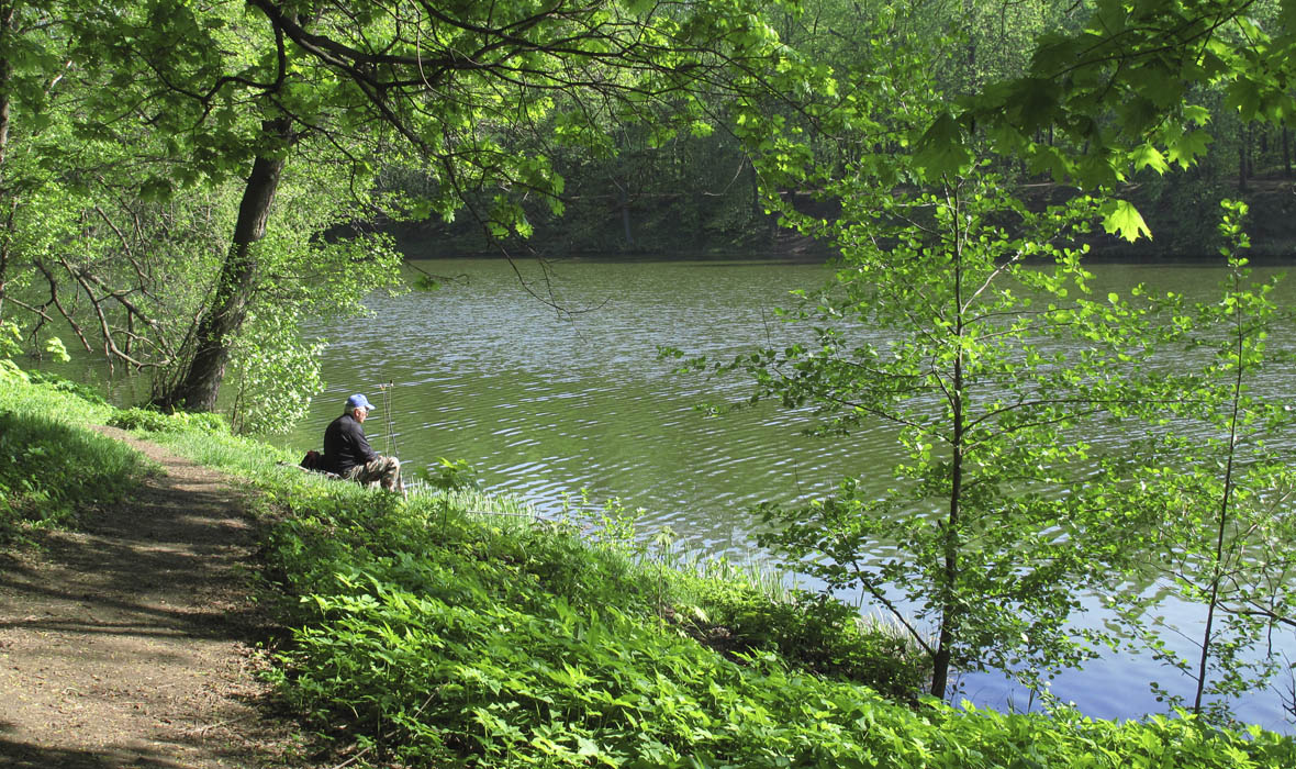 photo "***" tags: landscape, spring