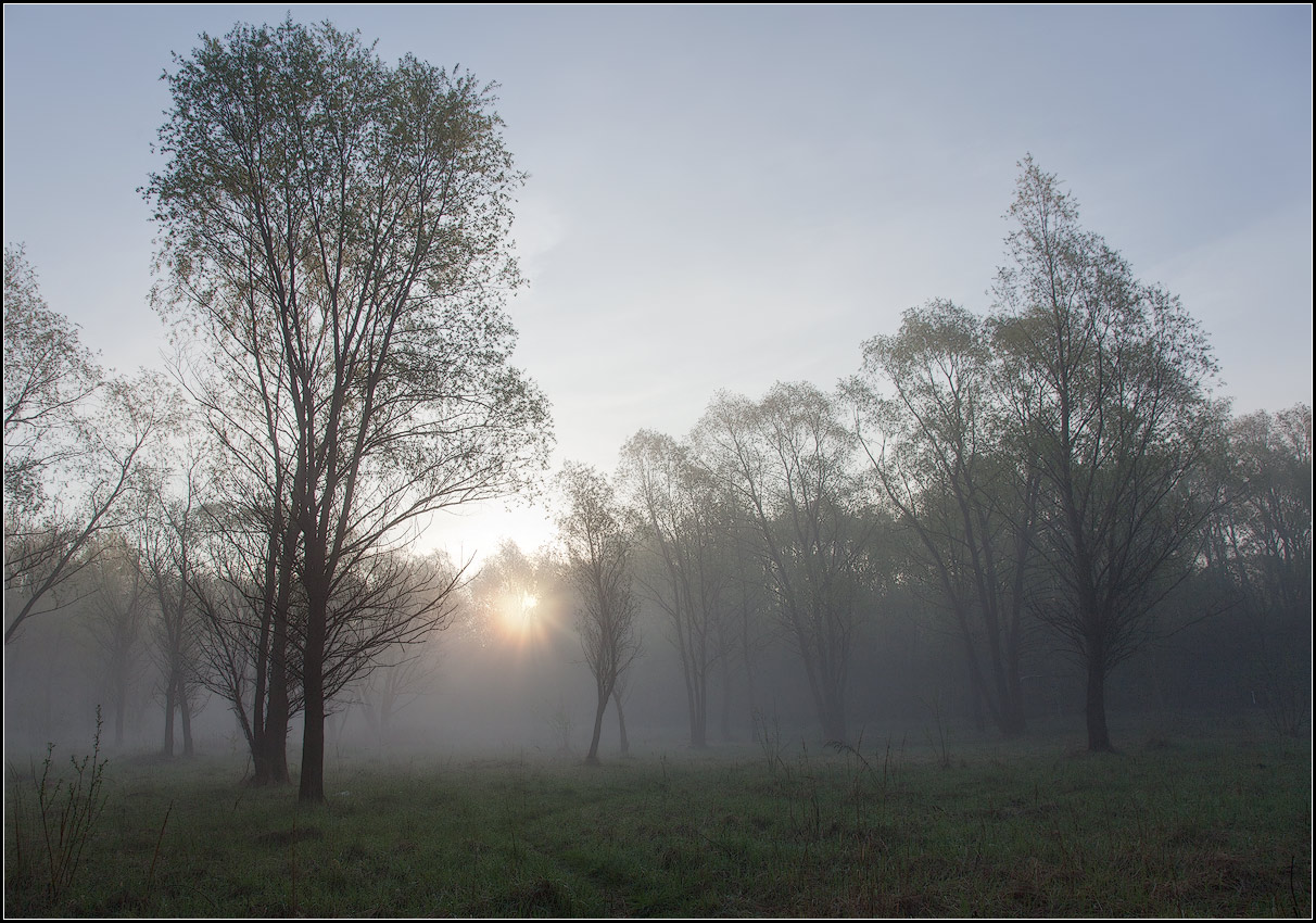 photo "misty Morning" tags: landscape, nature, spring