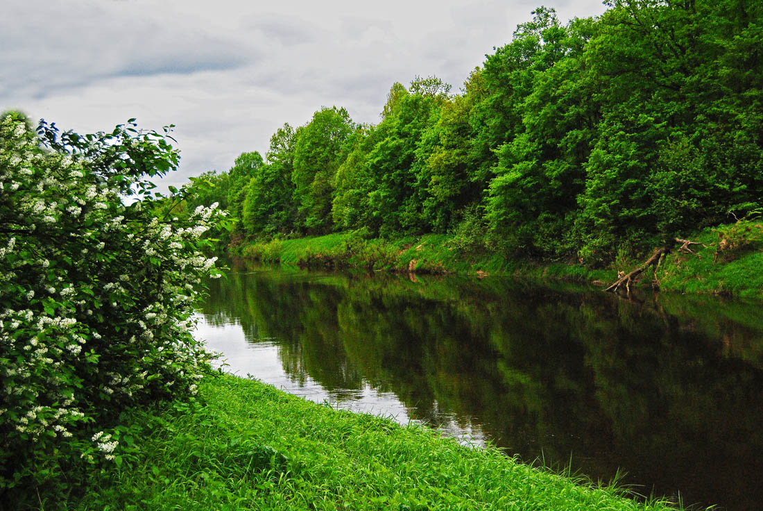 photo "***" tags: landscape, water