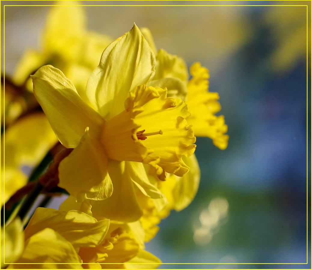 фото "***" метки: , 