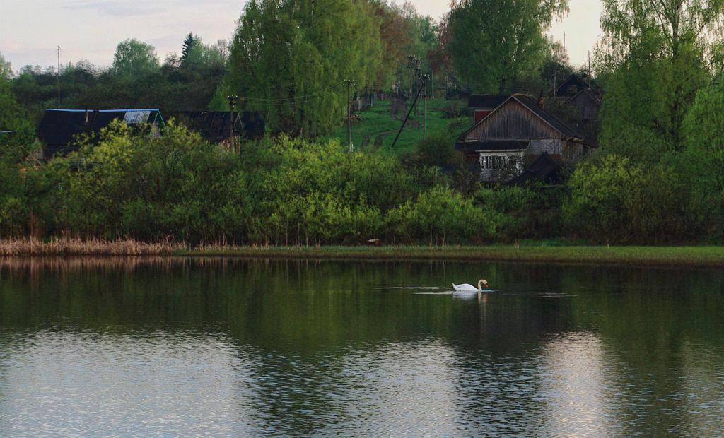 фото "Майский вечер" метки: , 