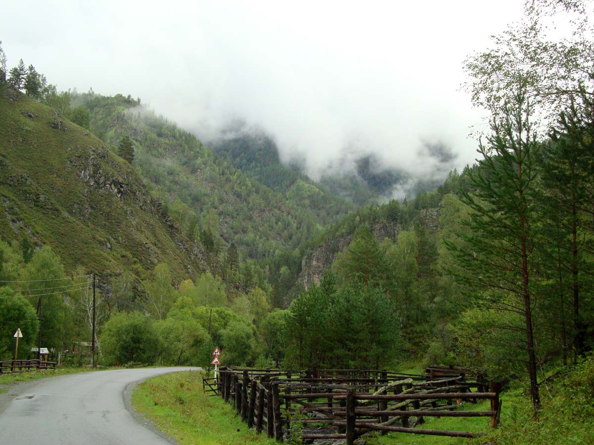 photo "***" tags: landscape, forest, mountains