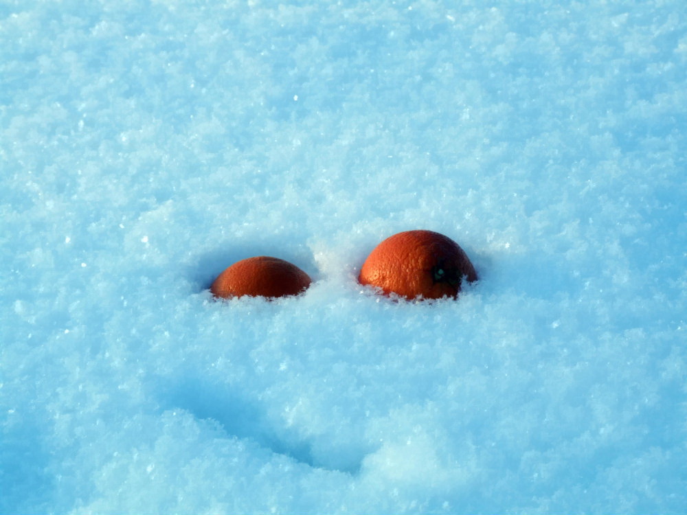 Жаркое сухое лето и прохладная влажная зима. Апельсины на снегу. Апельсин на снегу вид сверху.