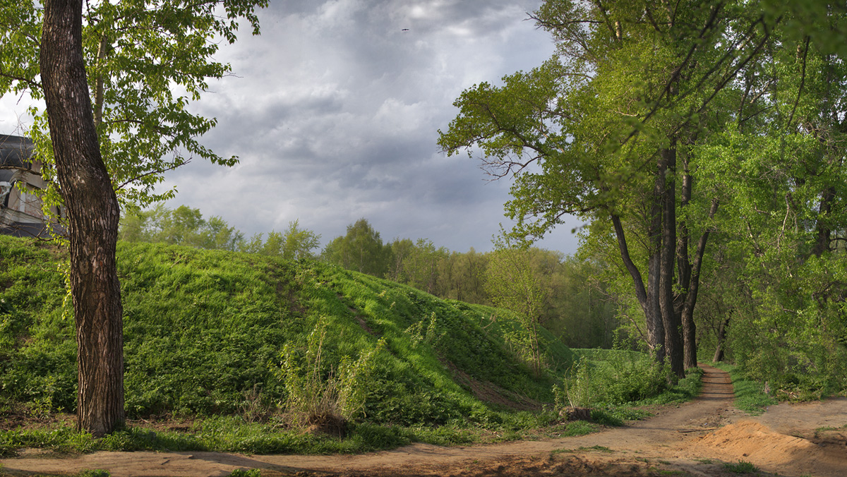 photo "The island of bygone moments ..." tags: landscape, forest, spring