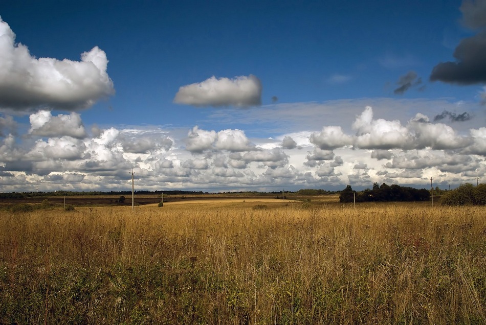 photo "Russian field" tags: landscape, clouds