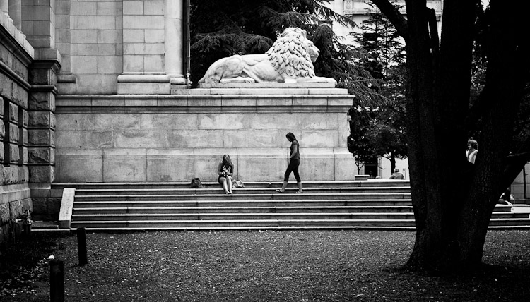 photo "Protected by the Lion" tags: black&white, architecture, landscape, 