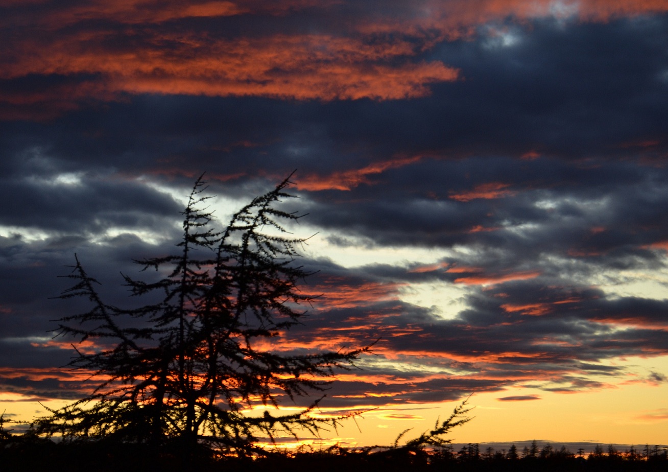 фото "Небо Колымы" метки: пейзаж, закат
