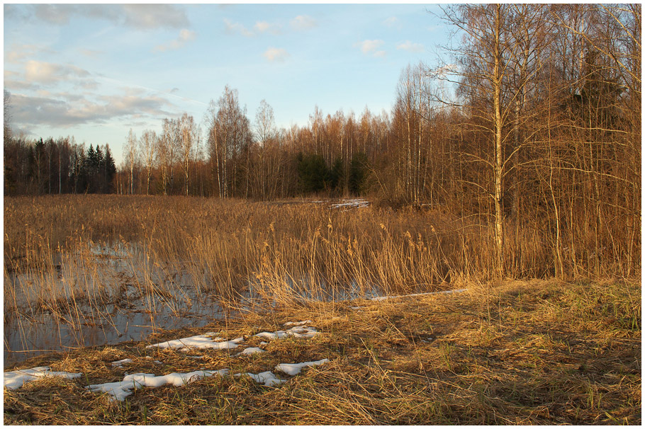 фото "***" метки: пейзаж, весна