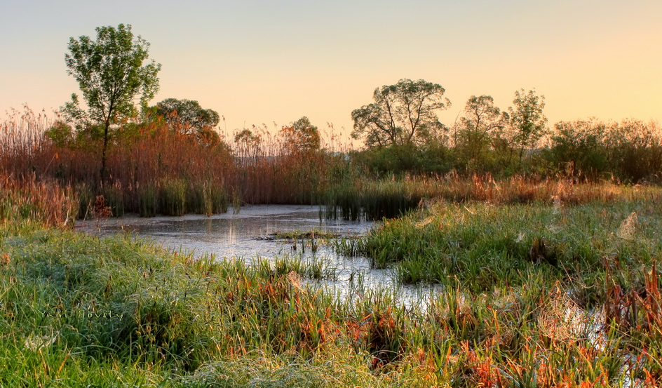 photo "Morning" tags: landscape, spring