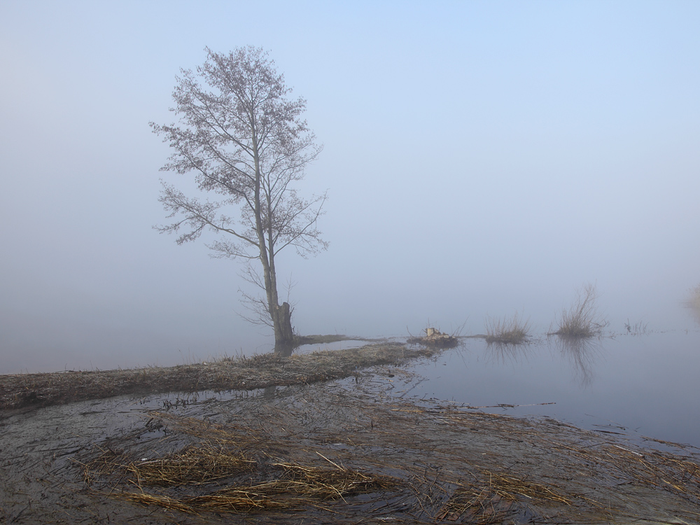 photo "***" tags: landscape, spring, water