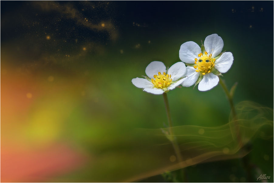 фото "Просыпайся, милая.....За окошком стелется розовый восход..." метки: digital art, 