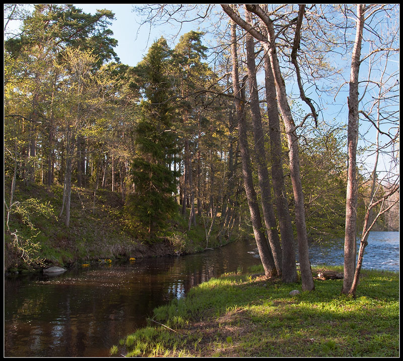 photo "***" tags: landscape, spring