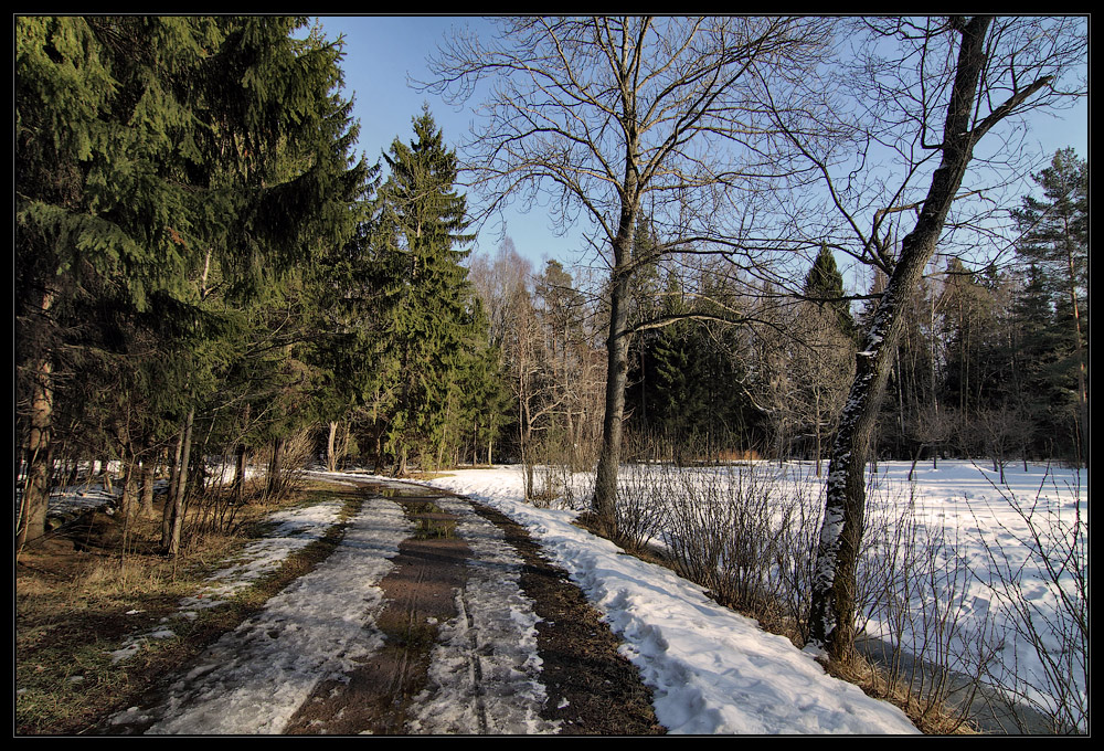 фото "***" метки: пейзаж, весна