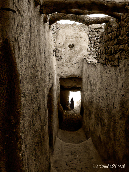фото "Desert Alley" метки: архитектура, пейзаж, 
