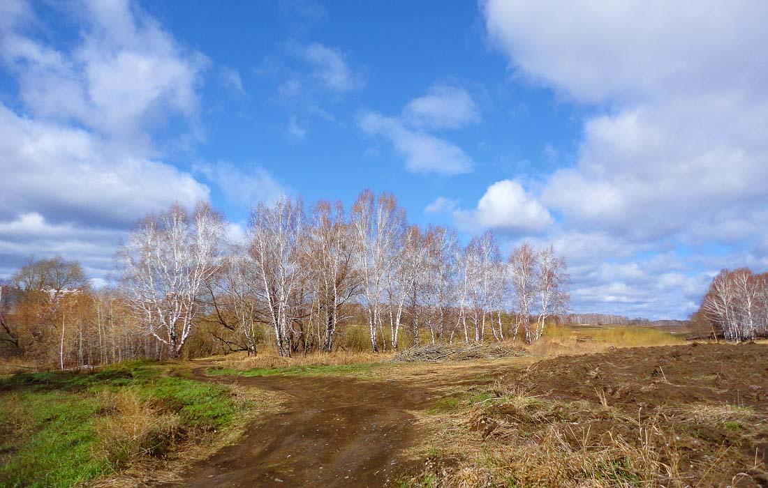 photo "***" tags: landscape, spring