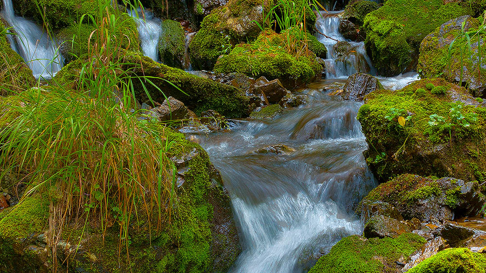 photo "falls vicinities" tags: landscape, forest, water