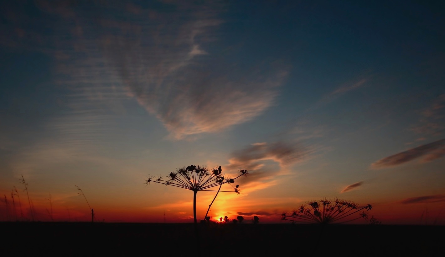 photo "***" tags: landscape, sunset