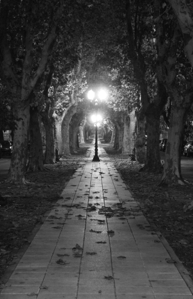 фото "Late night walking" метки: черно-белые, город, 