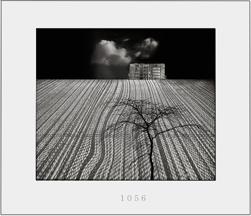 photo "limits" tags: , 2012