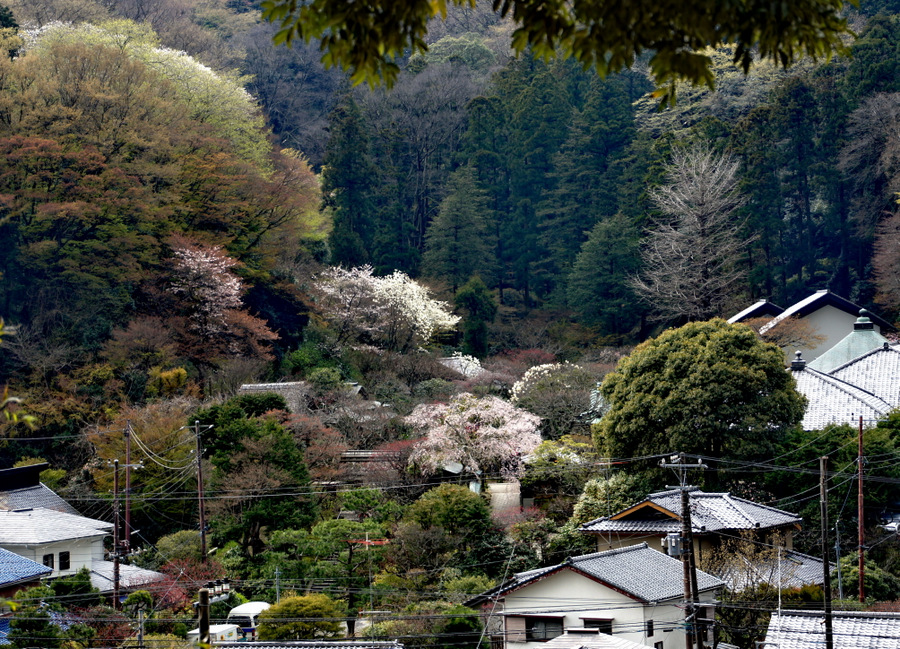 photo "***" tags: landscape, travel, Asia, spring