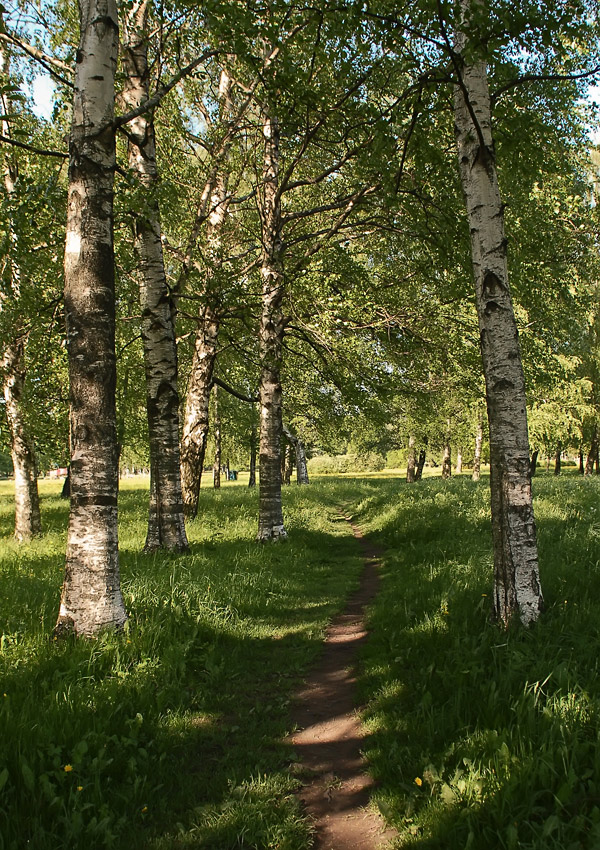 photo "***" tags: landscape, city, spring