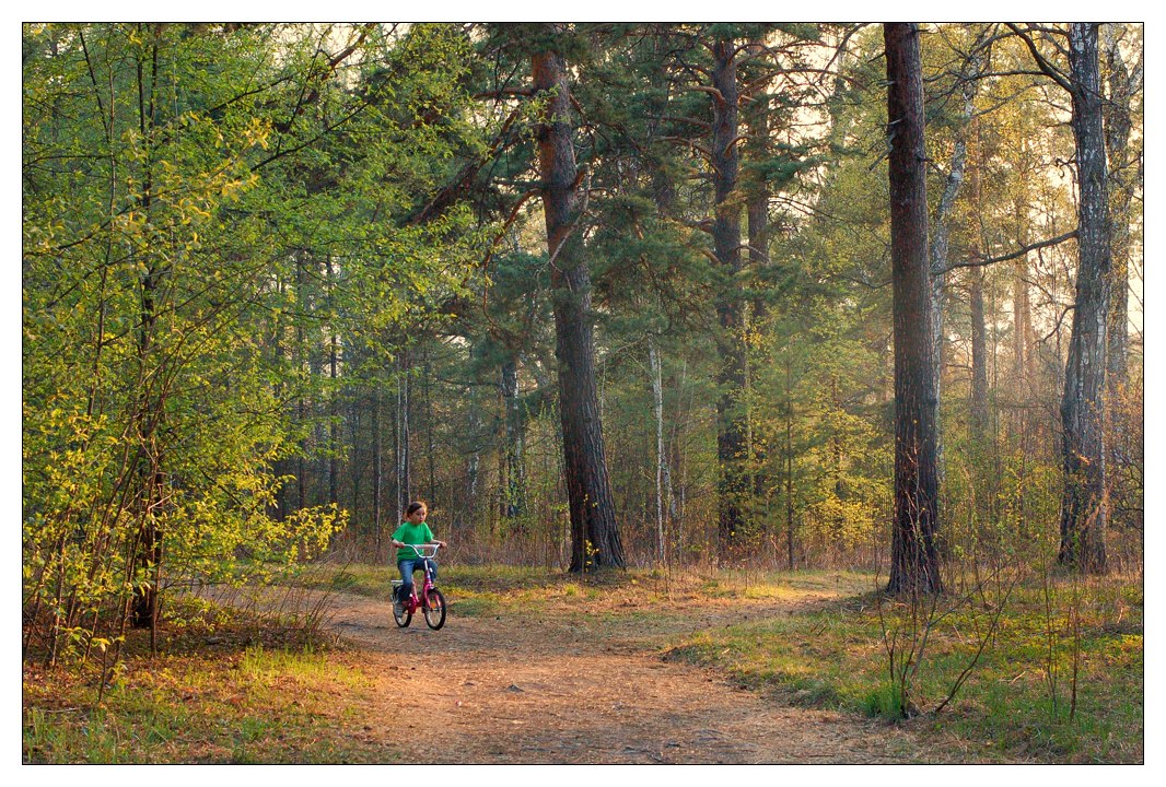 photo "***" tags: landscape, forest