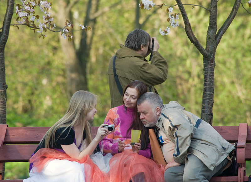 photo "Japanese cherry blossom" tags: reporting, genre, 