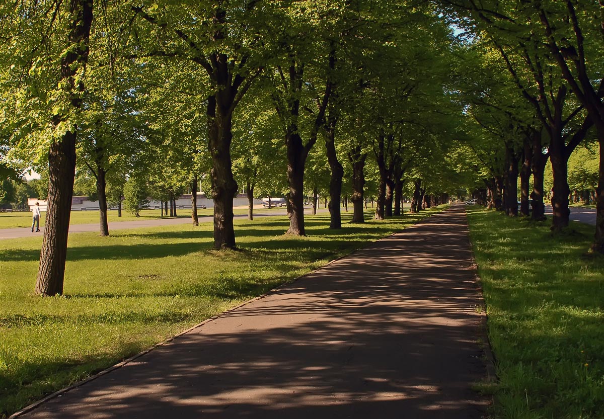 фото "Городская аллея..." метки: пейзаж, город, 