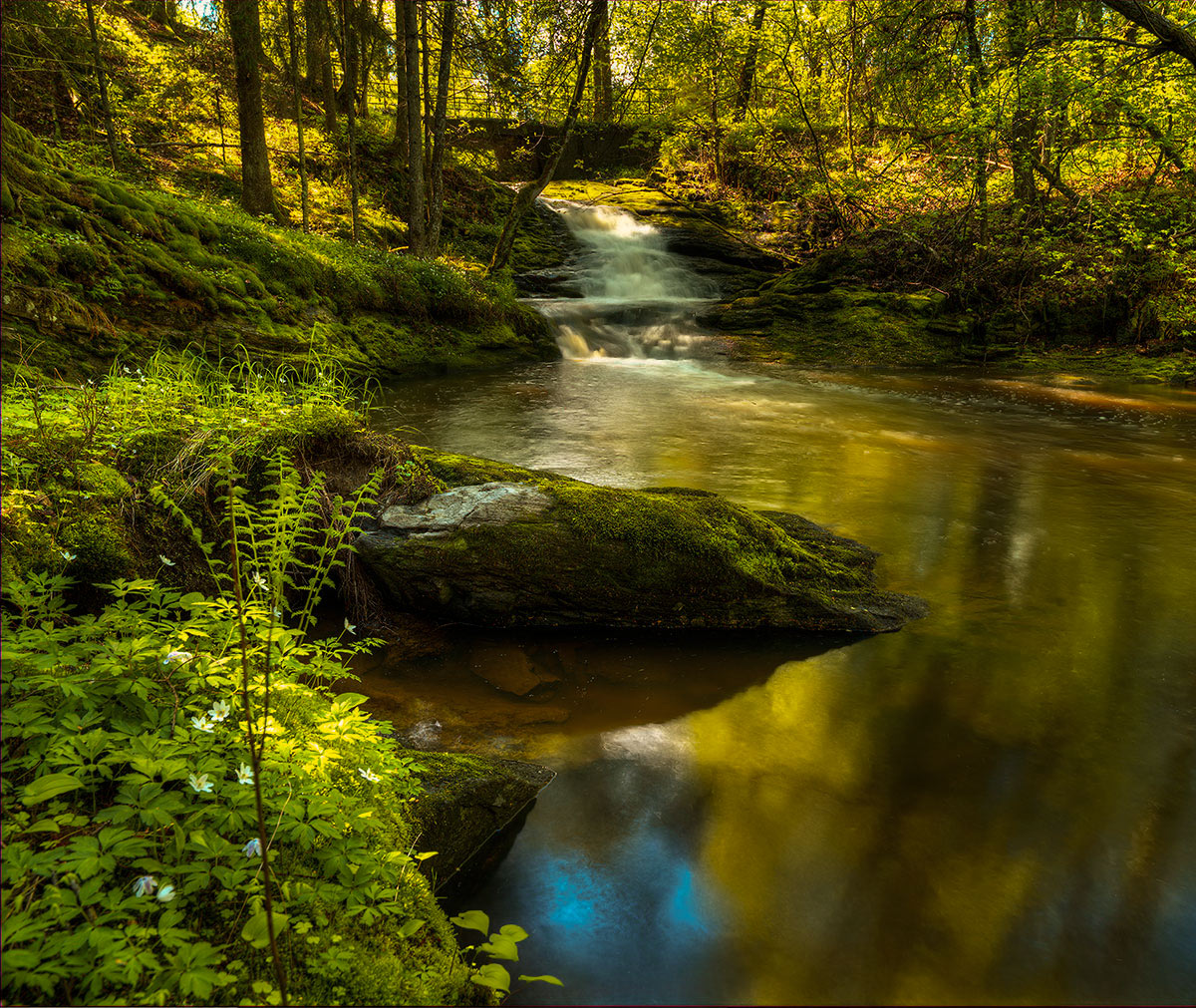 photo "Spring....." tags: landscape, spring