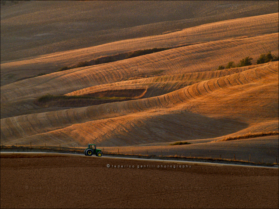 photo "The Fields" tags: landscape, 