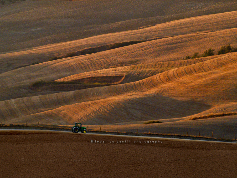 photo "The Fields" tags: landscape, 
