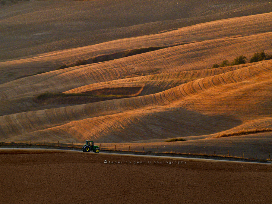 фото "The Fields" метки: пейзаж, 