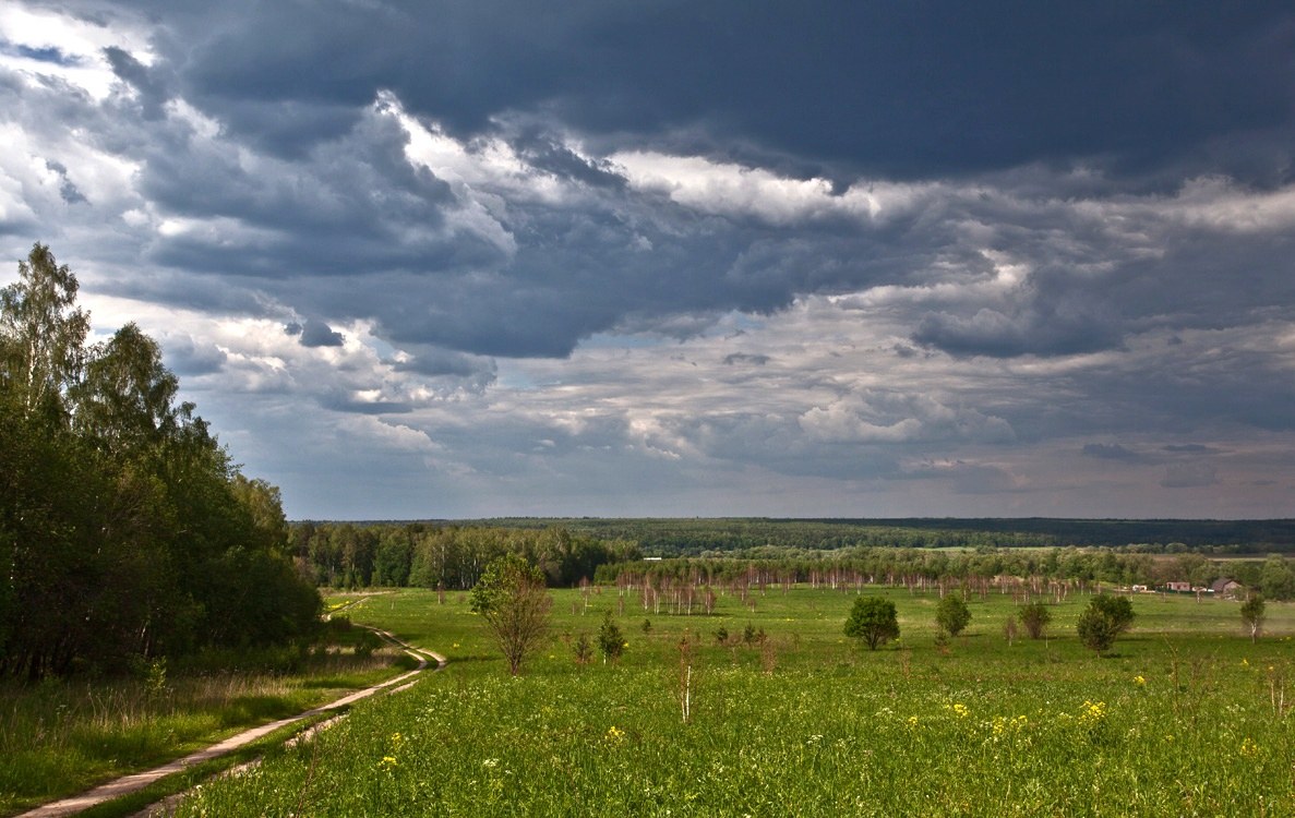 фото "Окские дали." метки: пейзаж, 