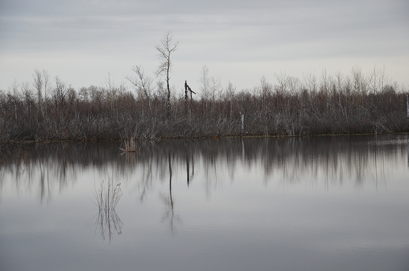 photo "***" tags: landscape, nature, water