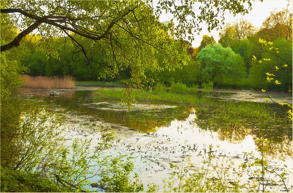 фото "Единство" метки: пейзаж, вода