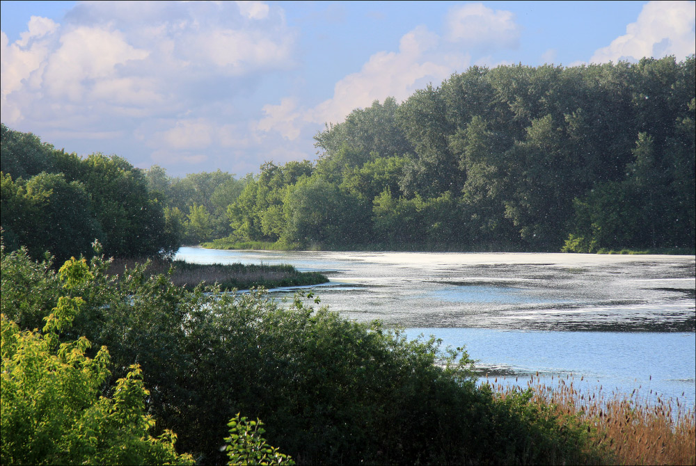 photo "poplar "break-up"" tags: landscape, water