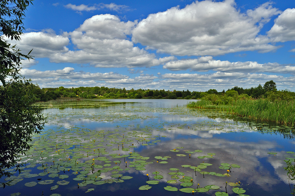 photo "***" tags: landscape, spring, water