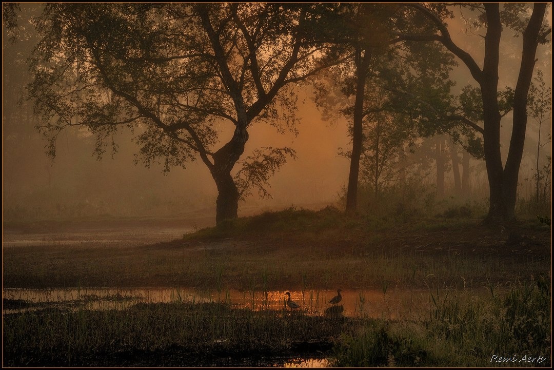 photo "***" tags: landscape, spring, sunset