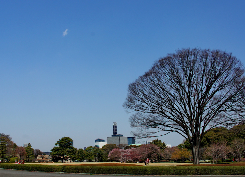 photo "***" tags: landscape, travel, Asia, spring