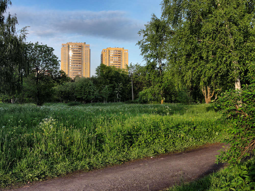 фото "Лето в моем парке" метки: , 